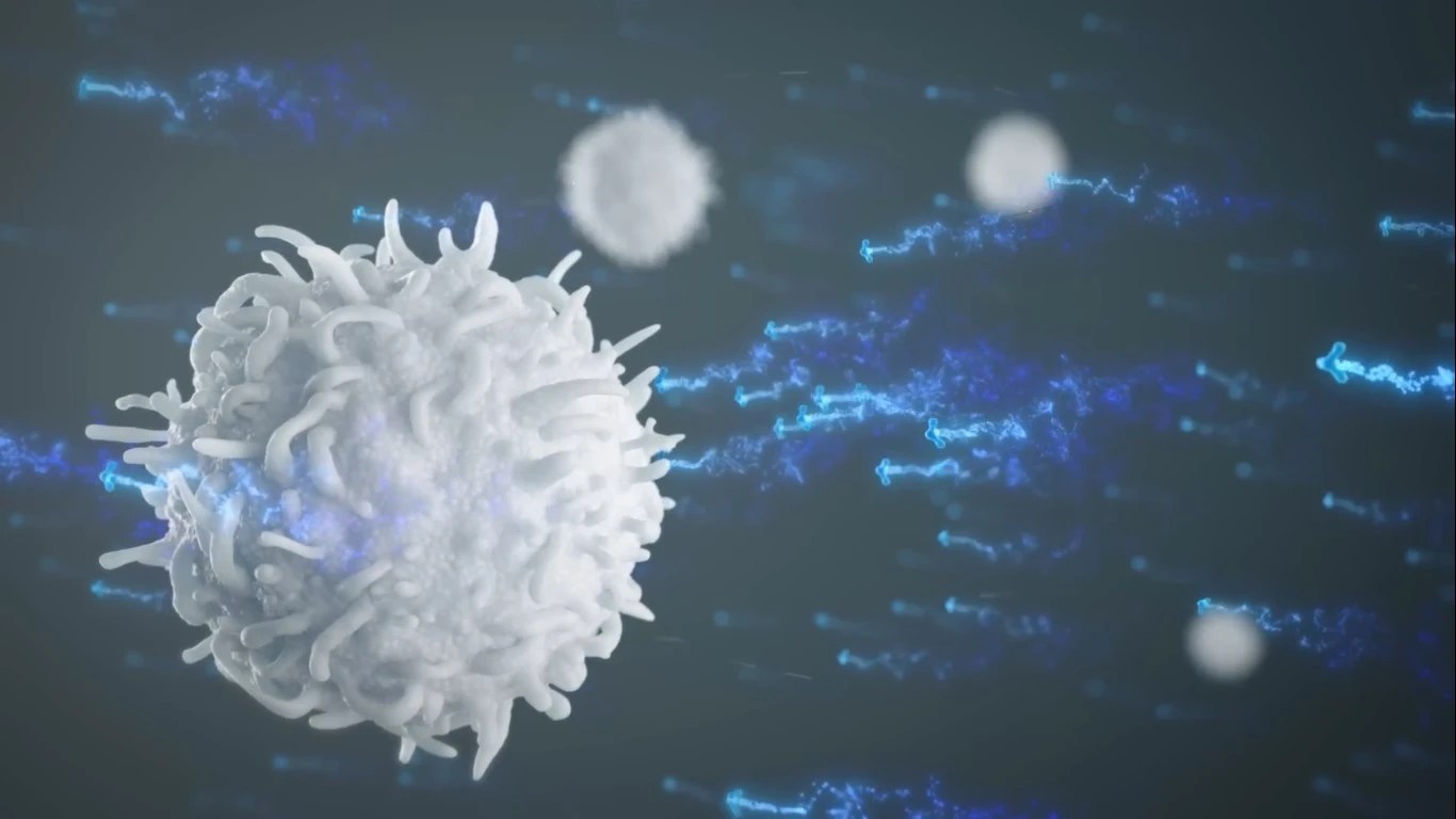 transfer factor educate