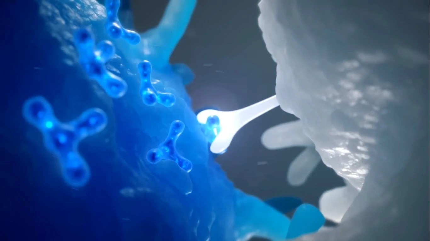 transfer factor boost