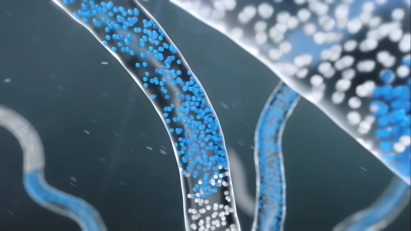 transfer factor balance